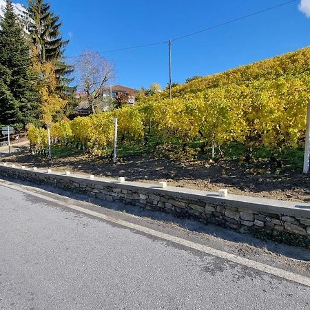 Apartament Ca Ed Giuanoto Santo Stefano Belbo Zewnętrze zdjęcie